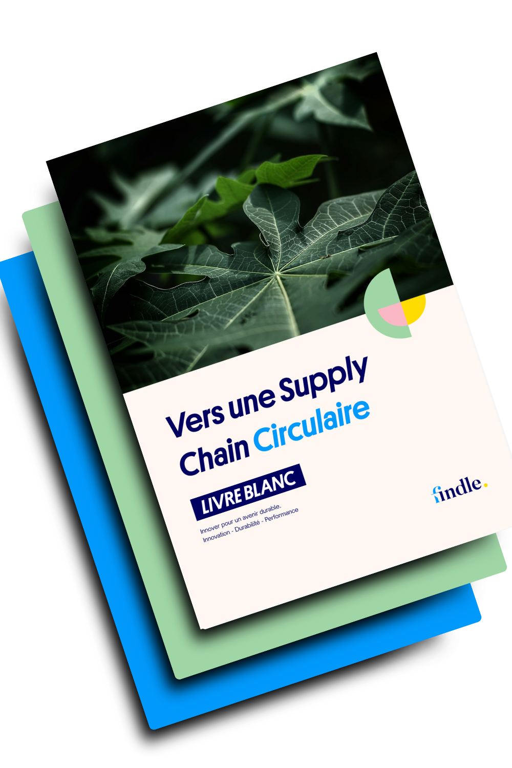 Livre Blanc Findle : vers une supply chain circulaire